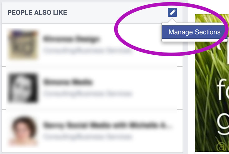 It seems we can't get rid of "People Also Like" in the Facebook Page sidebar. But you can drag it to the very bottom via "Manage Sections."