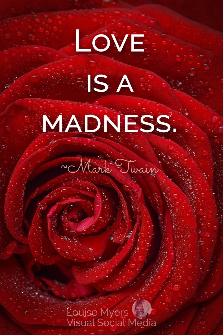 Mark Twain quote image: love is madness