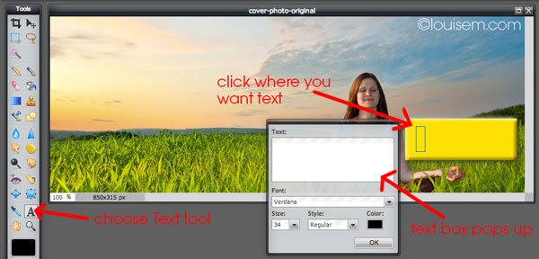 edit photo text online