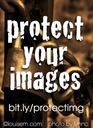 Can You Protect Images from Copyright Infringement?