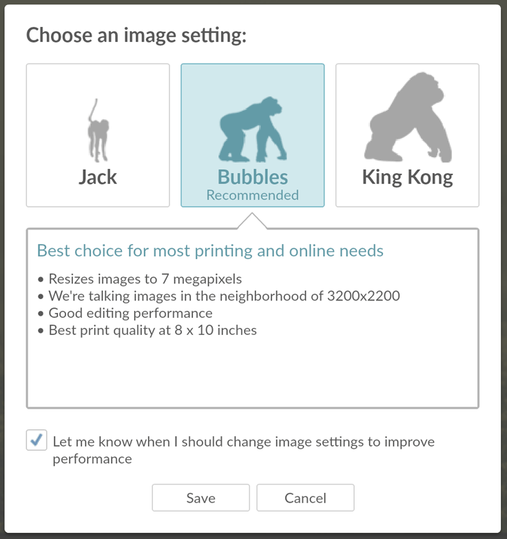 When saving images in PicMonkey, you have 3 compression options for JPGs.