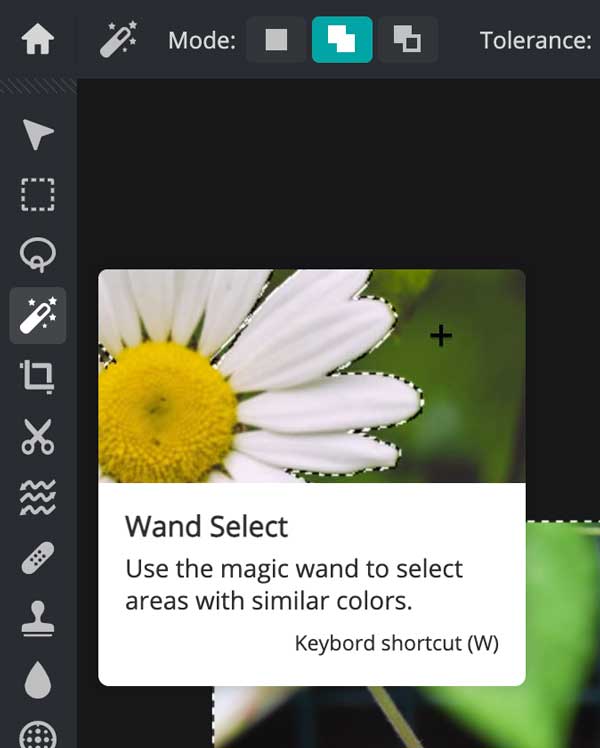 how to use magic wand to select background removal.