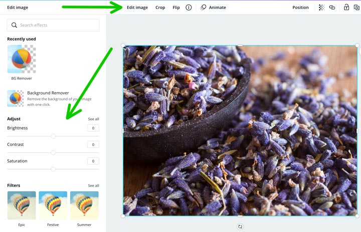 editing a photo of lavender in canva desktop.