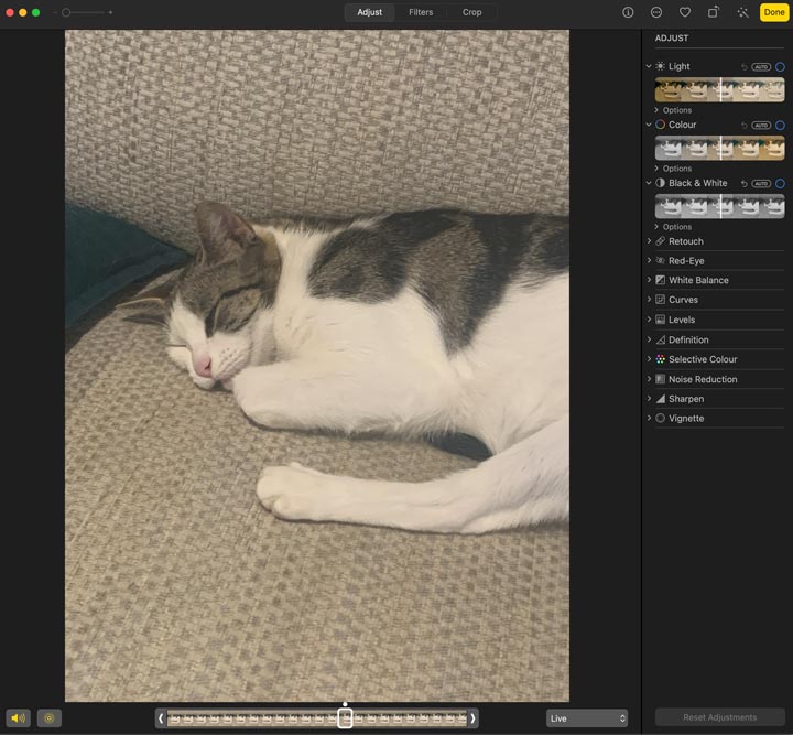 editing photo of cat in Mac Photos app.