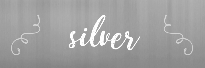 Silver Color Personality banner