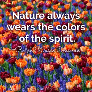 33 Colorful Quotes and Pictures to Energize Your Life