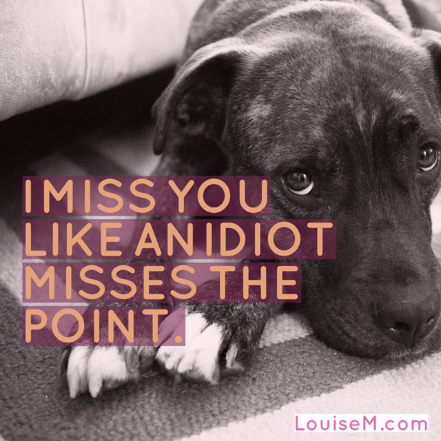 Adobe Spark Post image: I miss you like an idiot misses the point.