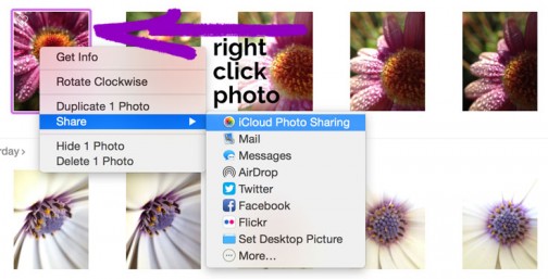 This Is How to Post to Instagram from PC or Mac in 2023 | LouiseM