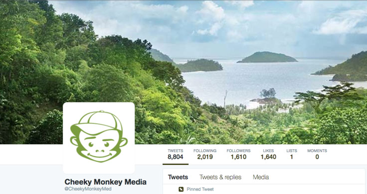 Make Sure Your Twitter Profile is on Brand and Consistent with all others.