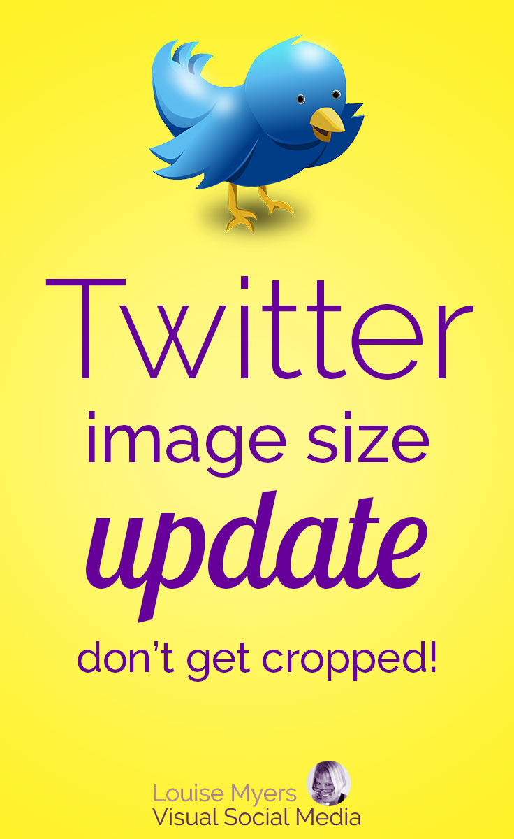 Have you seen the new Twitter image size? The recommended 2:1 aspect ratio is causing images to be cropped in the Twitter feed. Here's what's working now.