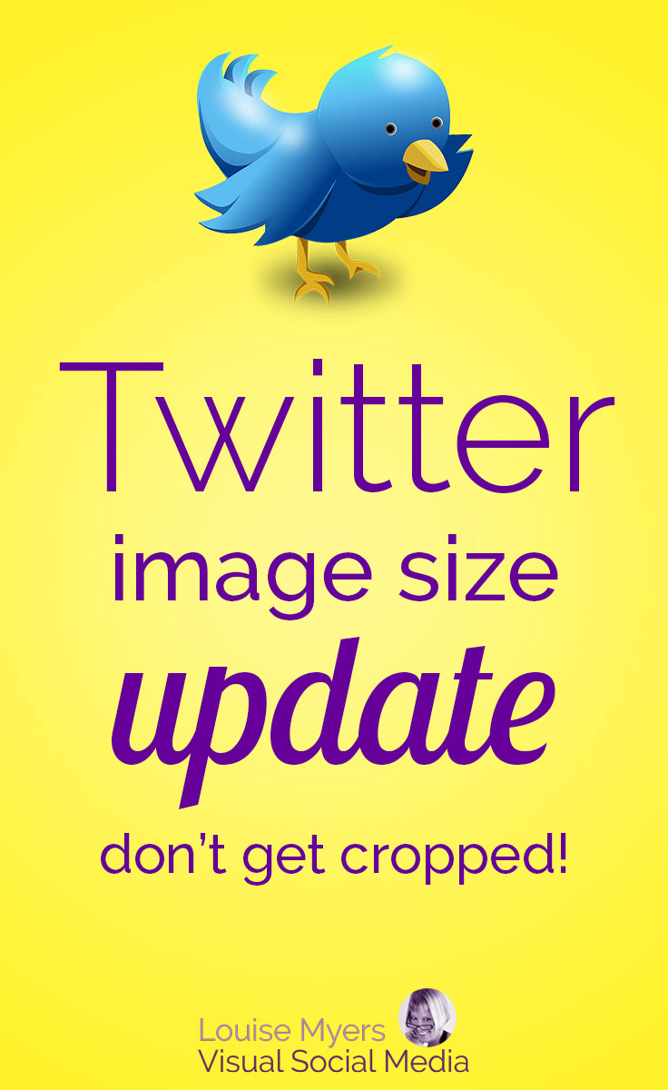 Twitter Image Size And Specs This Is All You Need To Know