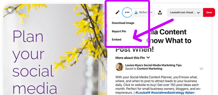 How To Embed Pinterest Pins That Won’t Disappear | LaptrinhX