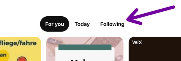 switch to pinterest following feed. screenshot