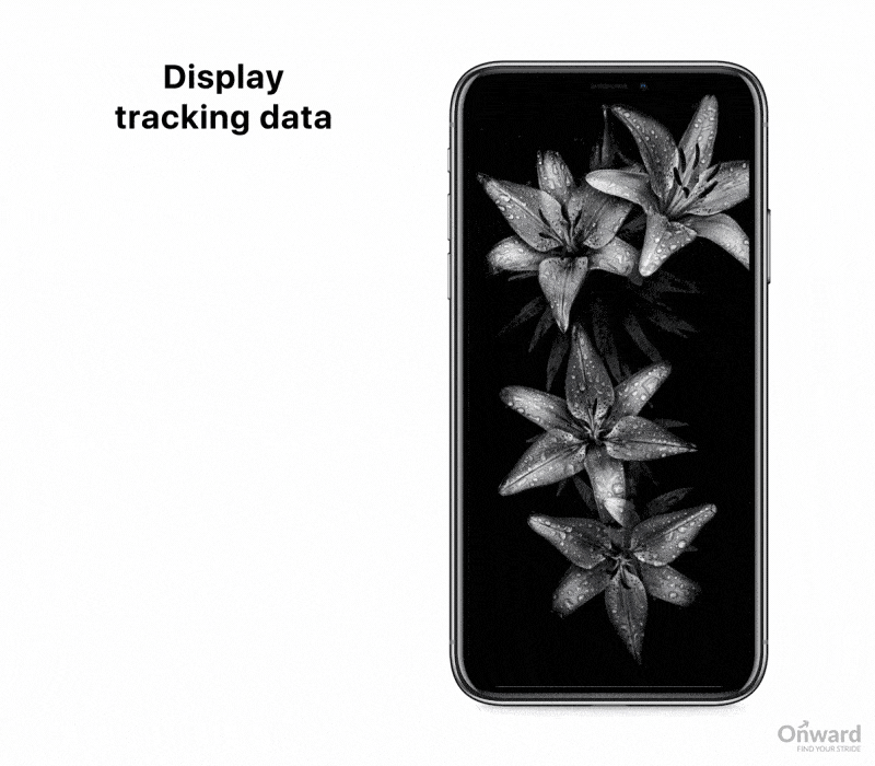 Want to know precisely what tracking data your iPhone is recording? Navigate to Settings > Privacy > Location Services > System Services > Frequent Locations. Here, you’ll find all the tracking data your iPhone has compiled.