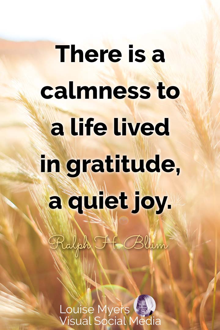 gratitude-quote-quiet-joy.jpg