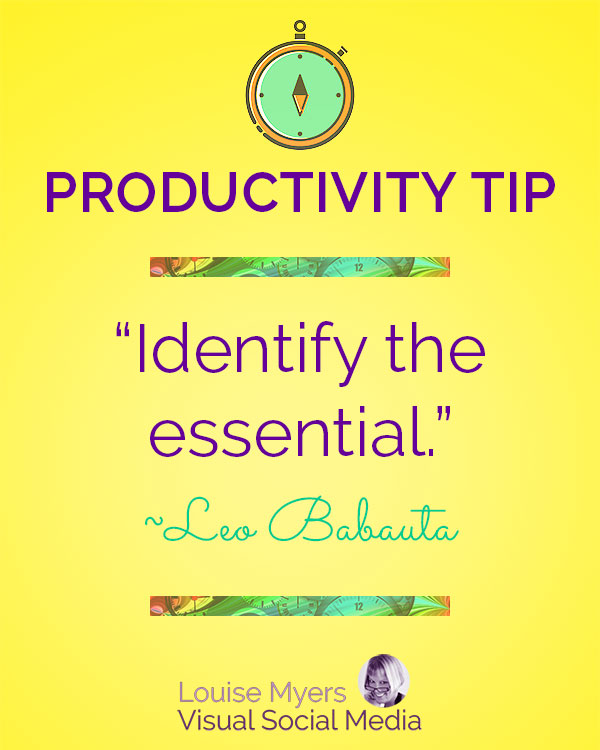 “Simplicity boils down to two steps: Identify the essential. Eliminate the rest.” ― Leo Babauta
