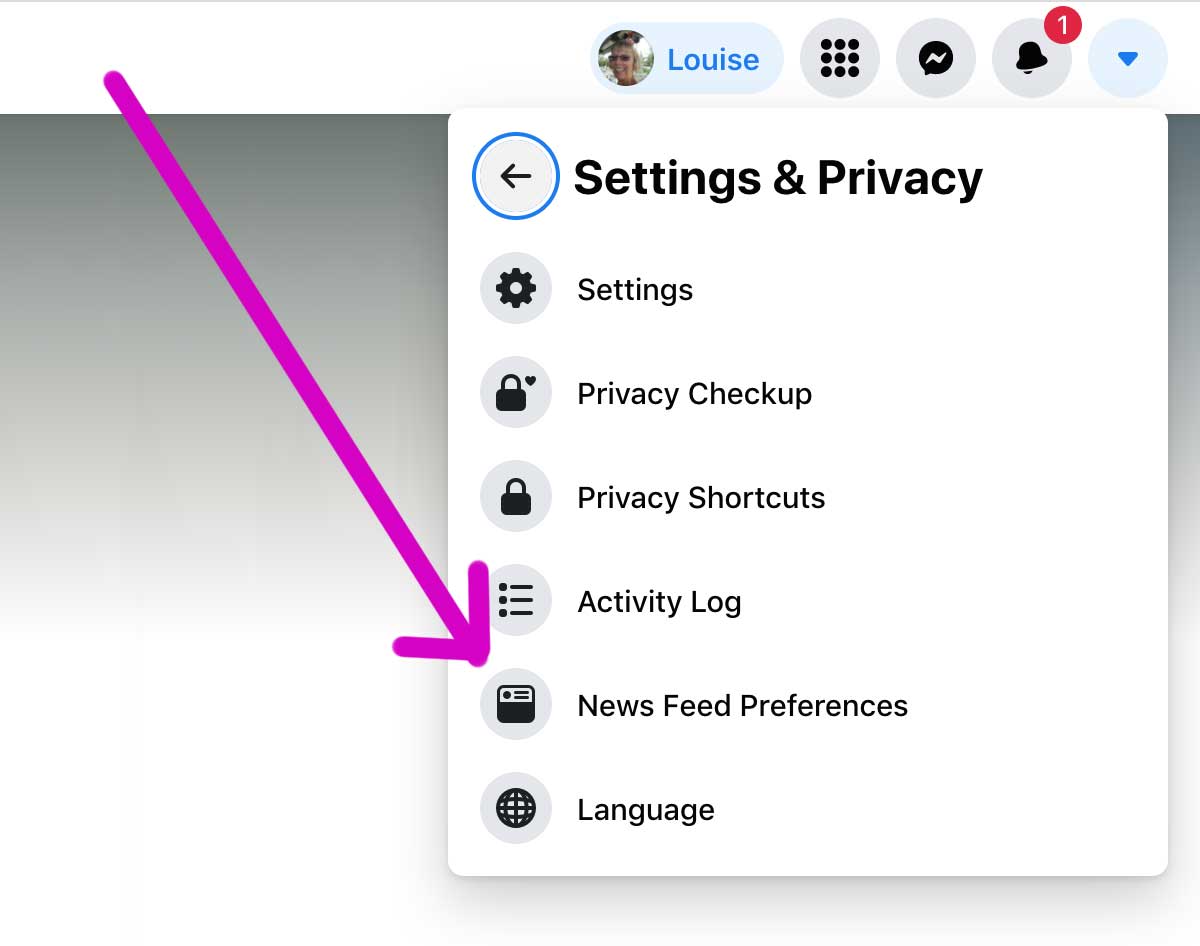 Then Select News Feed Preferences.