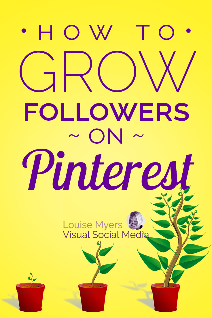 grow your Pinterest followers pin image