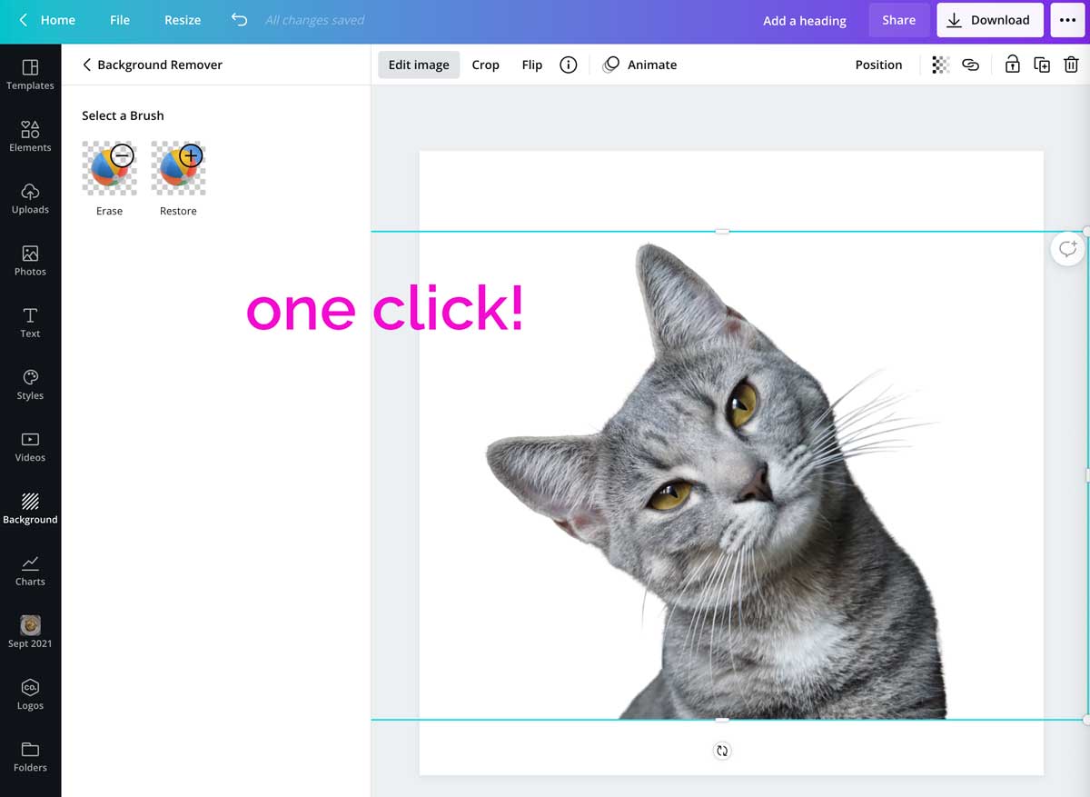 screenshot showing results of one-click background remover in canva.