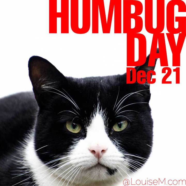 december 21 holiday humbug day with photo of grumpy looking cat.