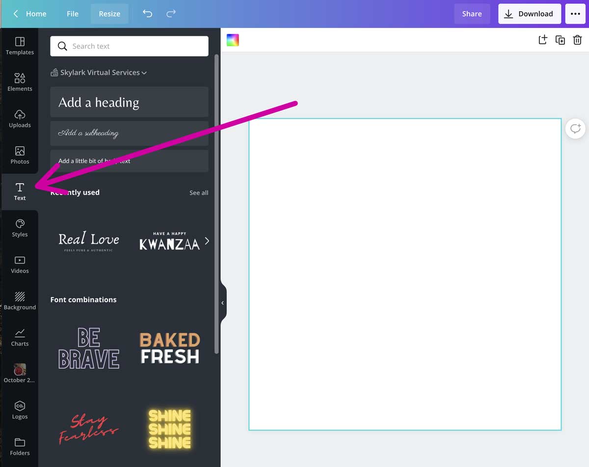 screenshot showing where to find the text tool in canva.