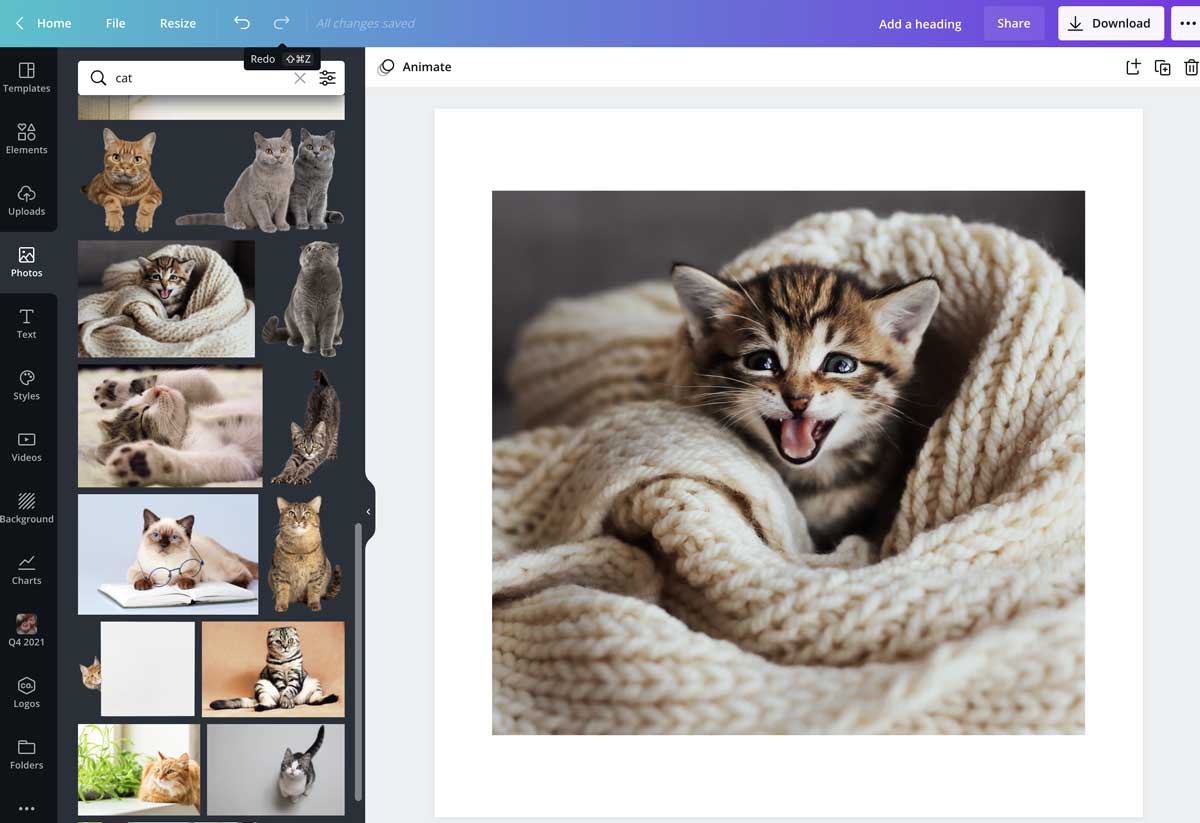 screenshot of finished cropping in canva.
