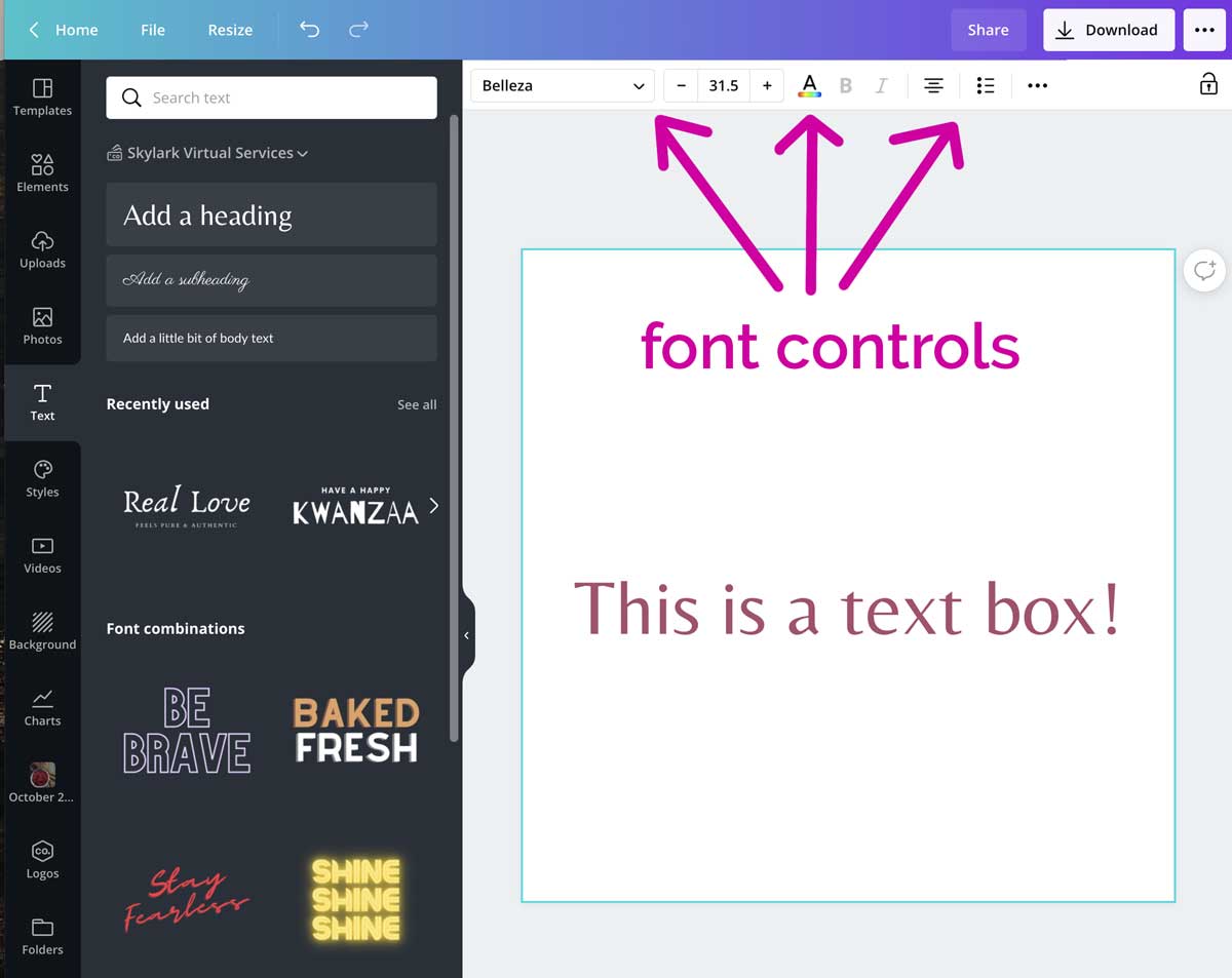 screenshot showing font control tool for styling text in canva.