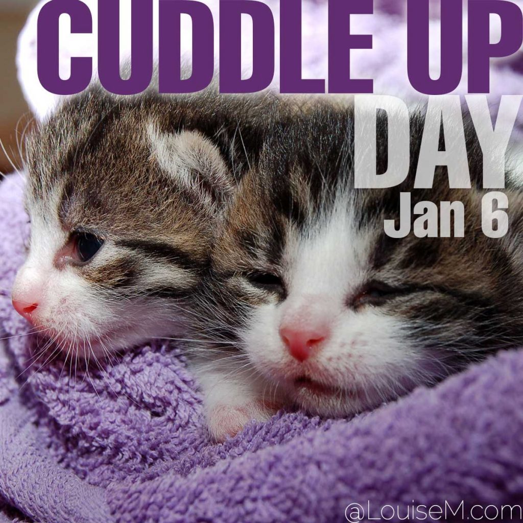 330 January Holidays to Celebrate on Social Media! (2023) | LouiseM