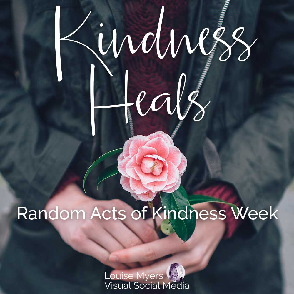pink camellia in woman's hands says kindness heals, Random Acts of Kindness Week.
