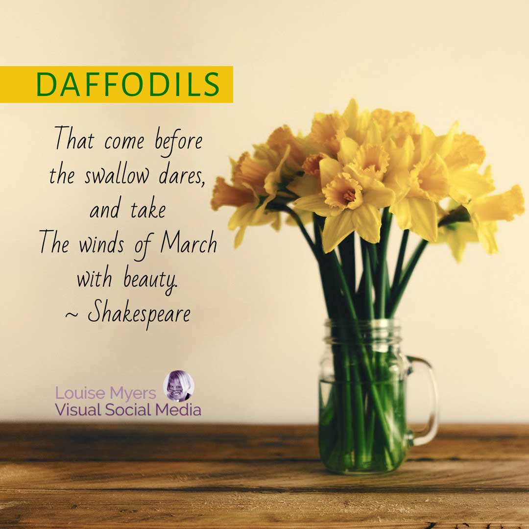 bright sepia tint of daffodila in glass mug has Shakespeare quote overlay.