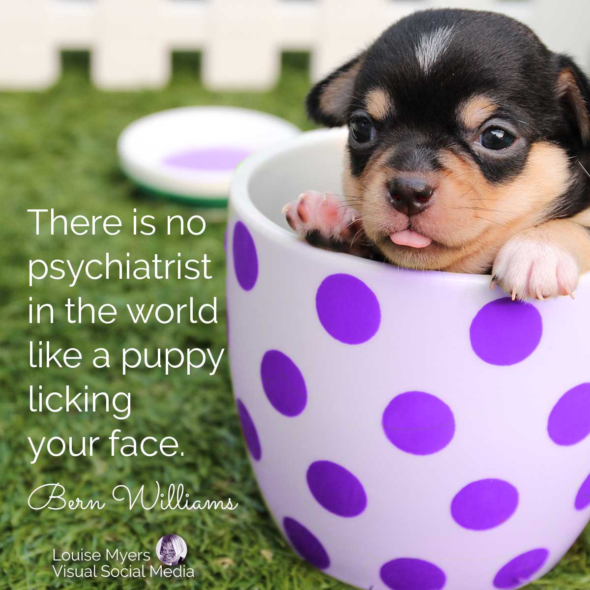 social media graphic for march 23 holiday national puppy day.