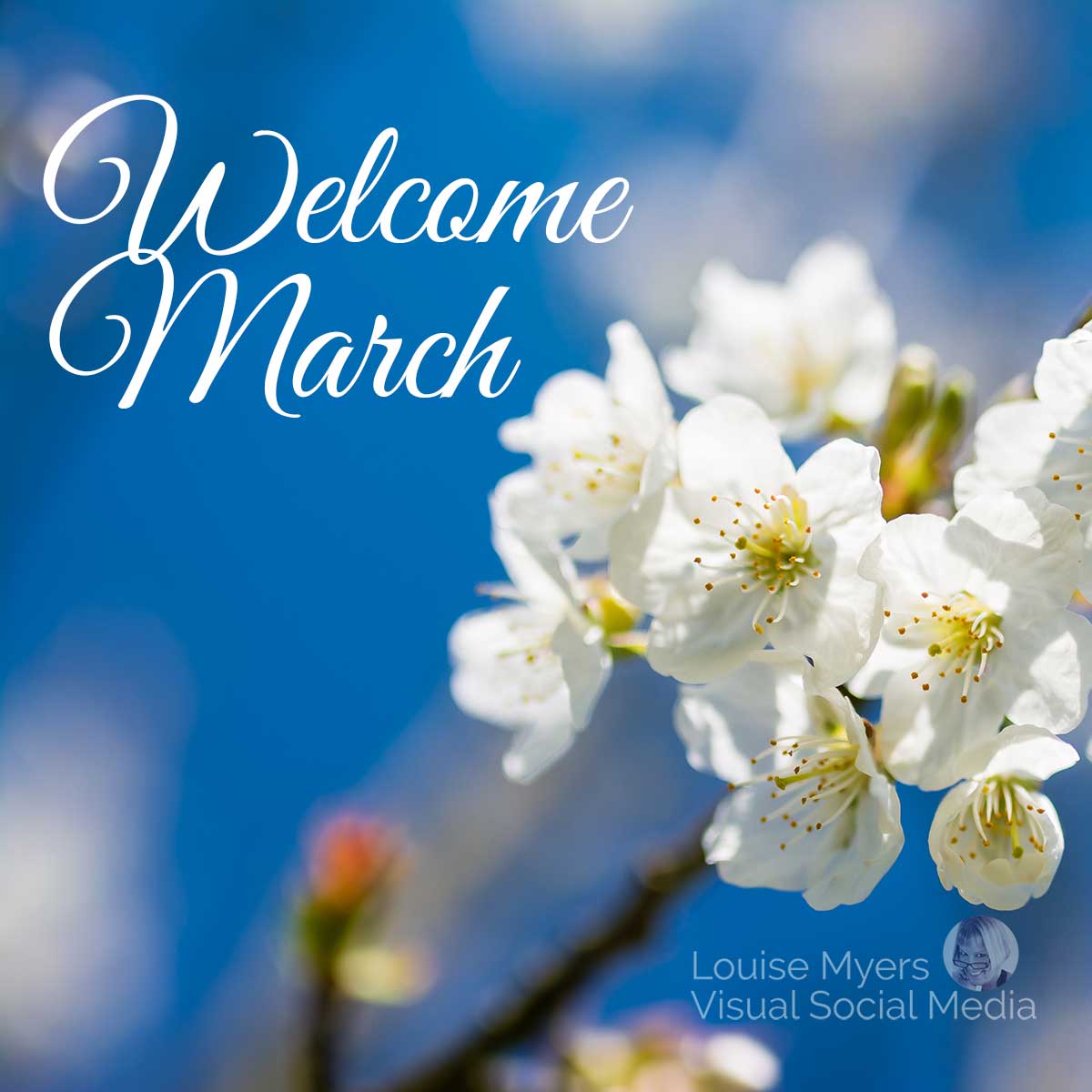 welcome march on photo of blossoming tree.