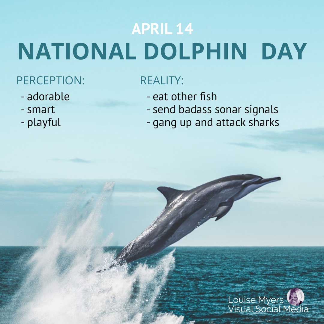 leaping dolphin says national dolphin day and lists dolphin facts.