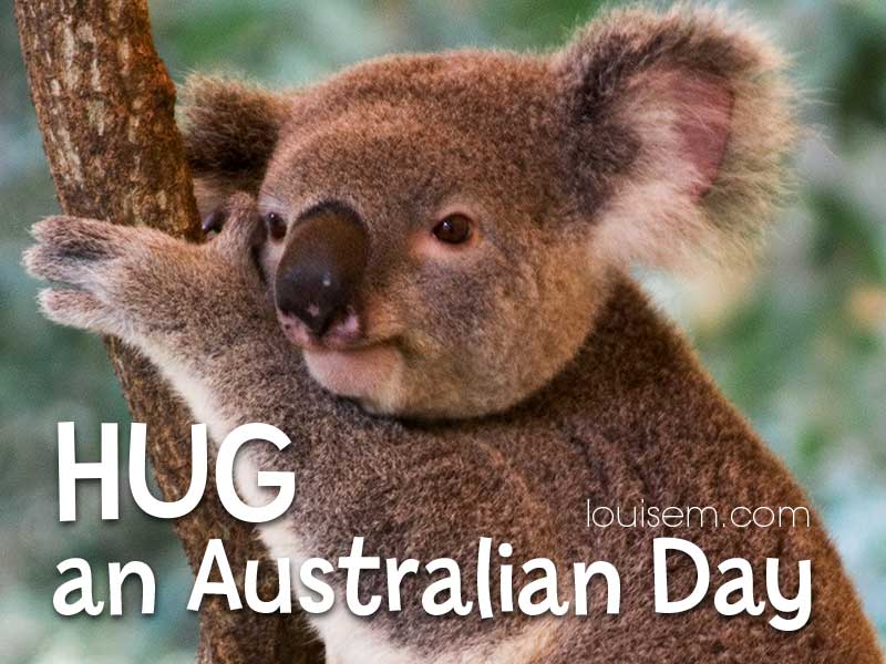 koala bear hugging tree says Hug an Australian Day.