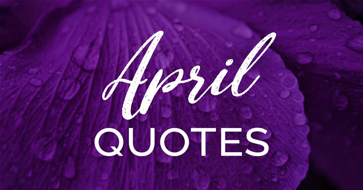 dewy purple petals says april quotes.
