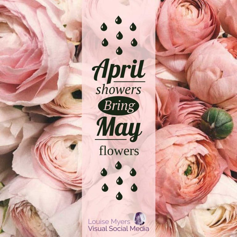 150 Short Flower Quotes to Inspire Your Love of Beauty LouiseM