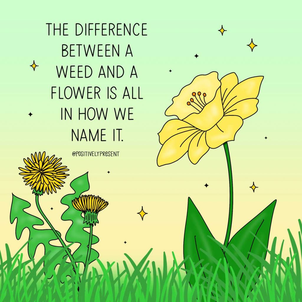 110 Short Flower Quotes to Inspire Your Love of Beauty LouiseM