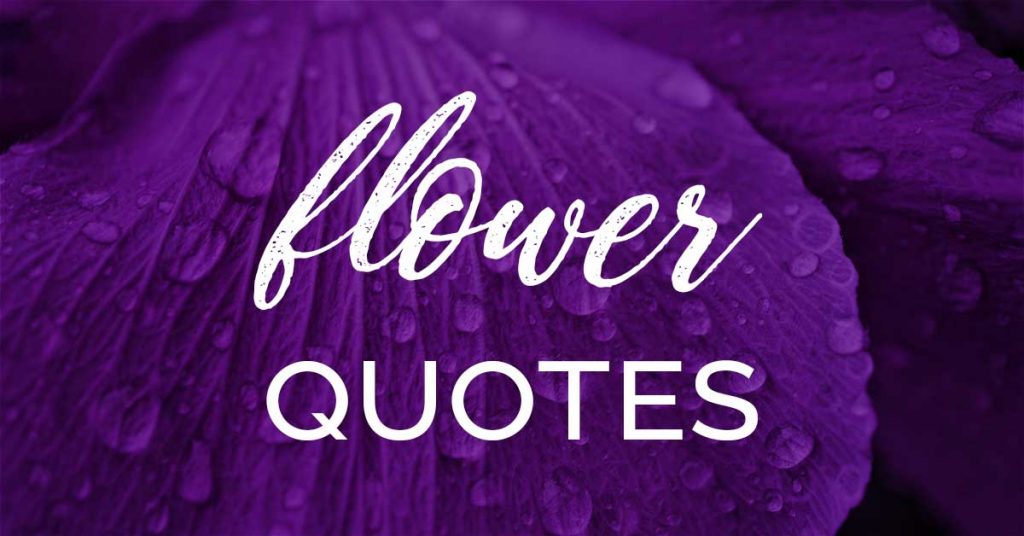150 Short Flower Quotes to Inspire Your Love of Beauty LouiseM