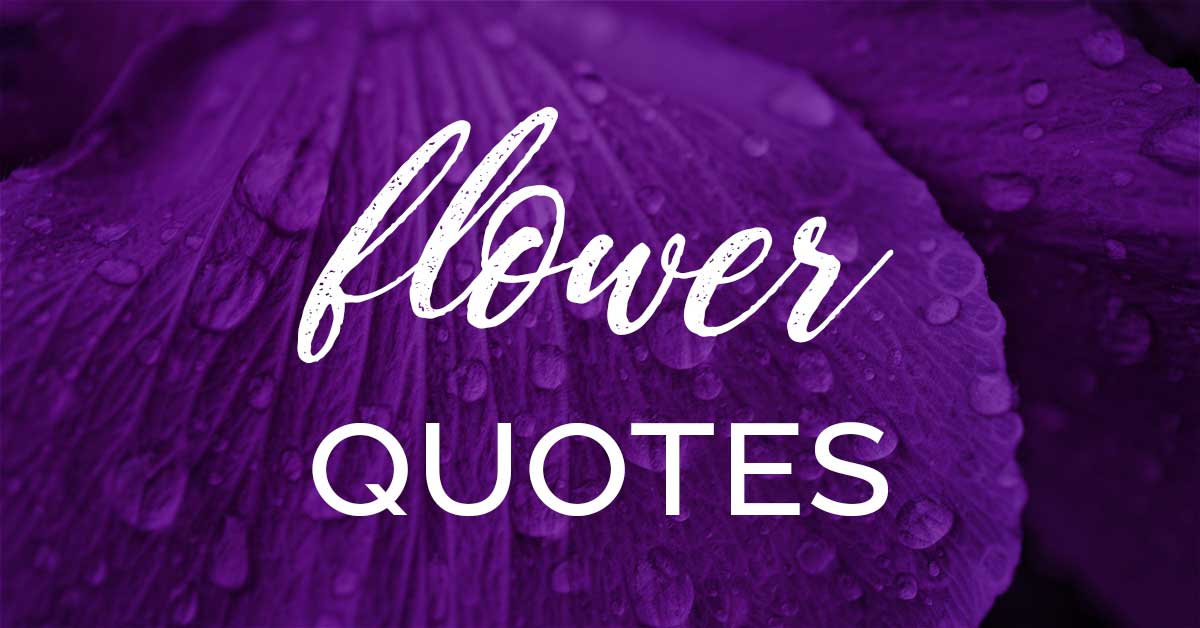 150 Short Flower Quotes To Inspire Your