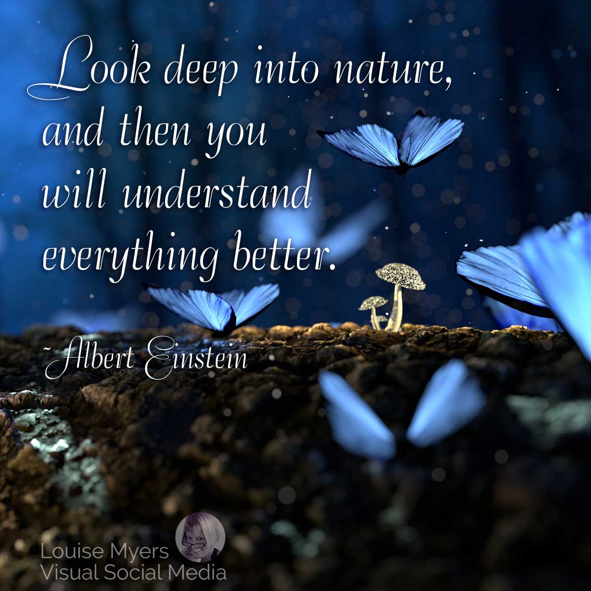 blue butterflies and mushroom with einstein quote look deep into nature.