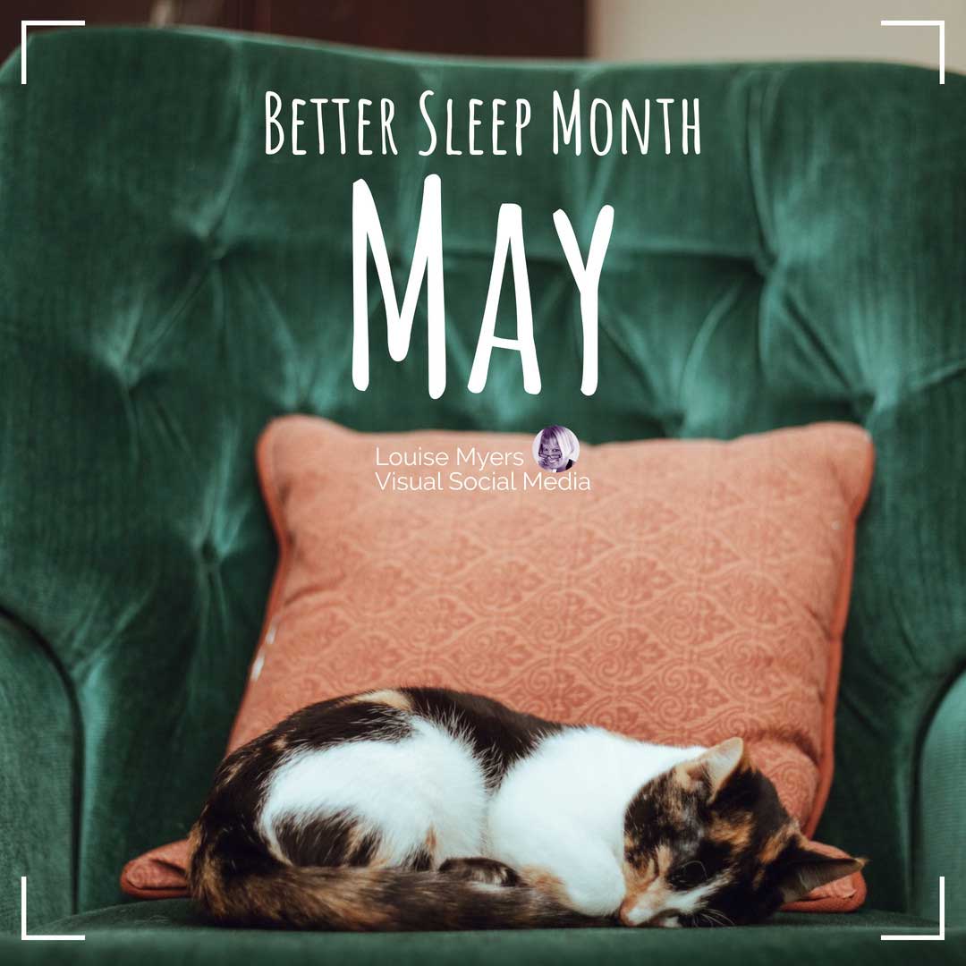 cat sleeping on velvet chair says May is Better Sleep Month.