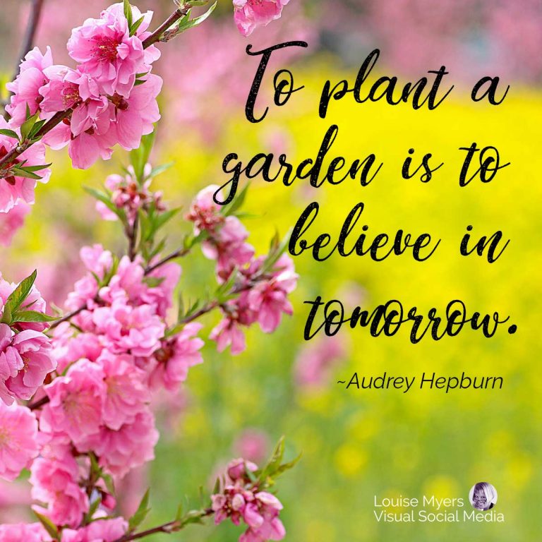 150 Short Flower Quotes to Inspire Your Love of Beauty LouiseM