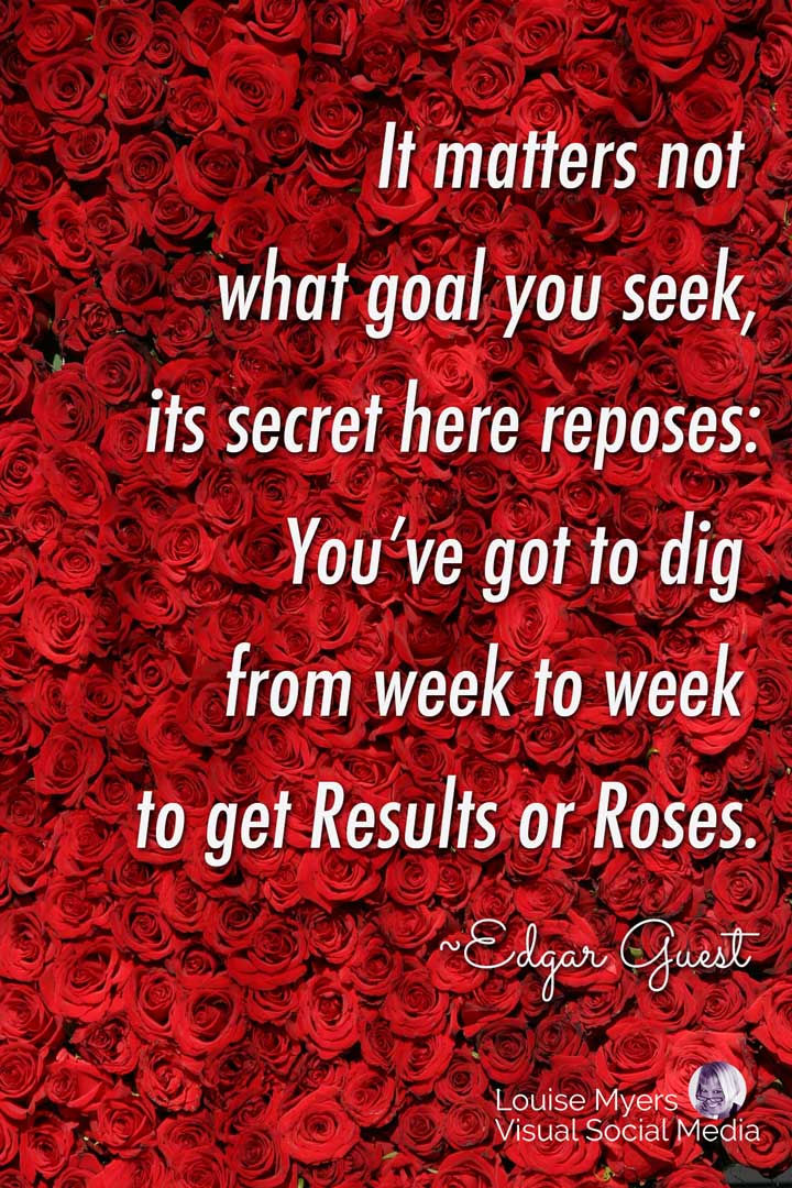 results or roses quote on hundreds of red roses.
