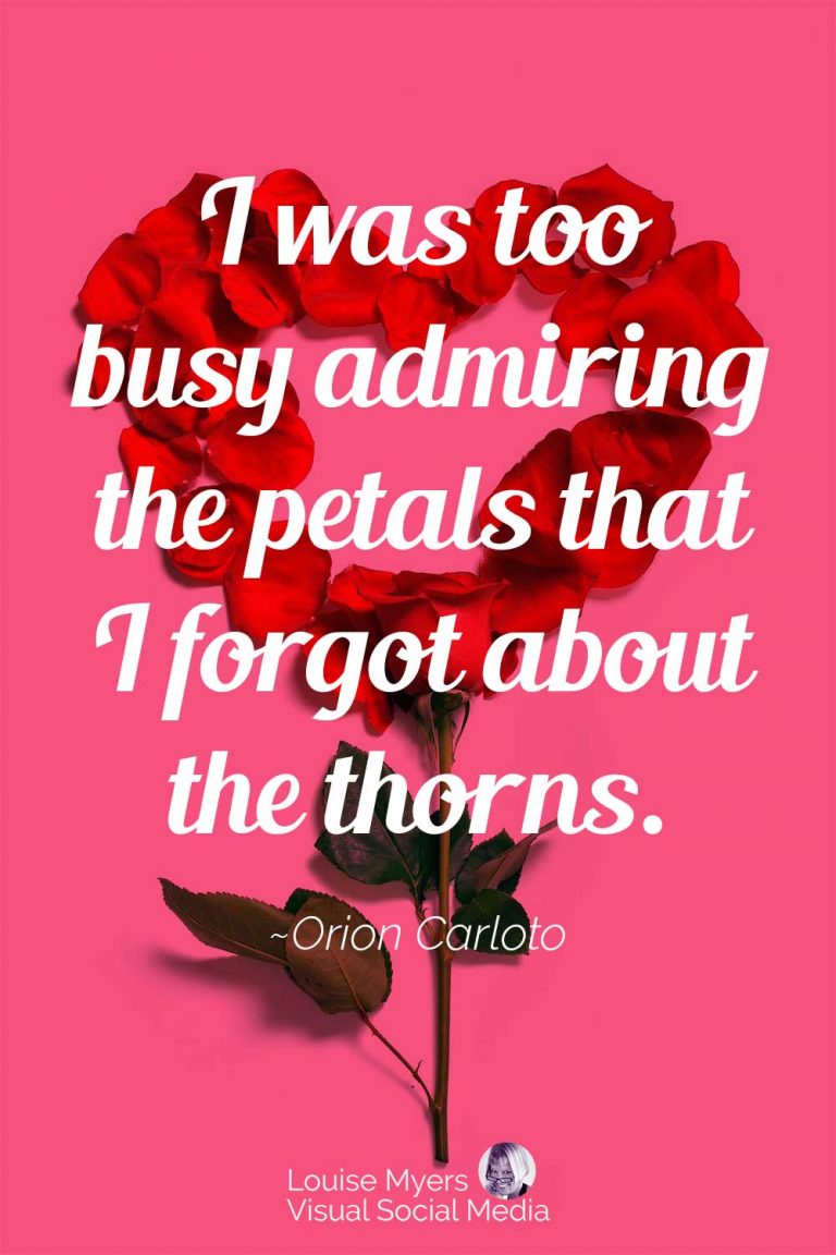 100 Best Rose Quotes for Love and Life, Thorns and All! LouiseM