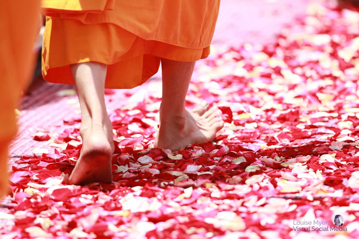 feet walking on pink rose petals.
