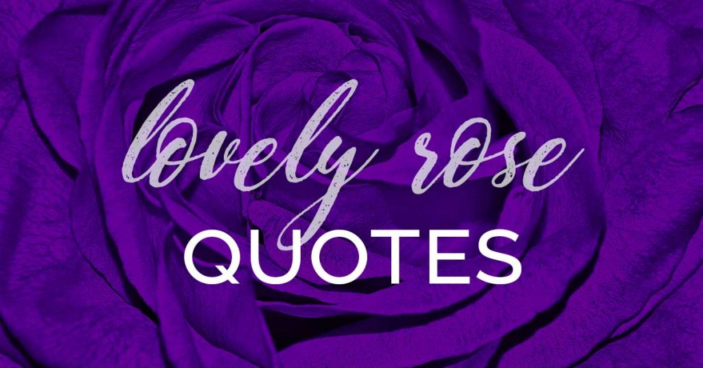 100 Best Rose Quotes for Love and Life, Thorns and All! LouiseM