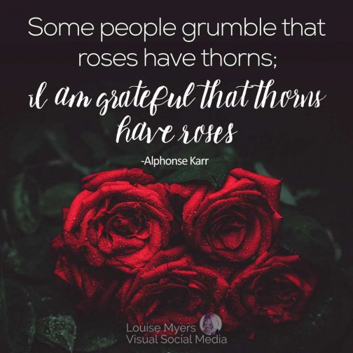 100 Best Rose Quotes for Love and Life, Thorns and All! LouiseM