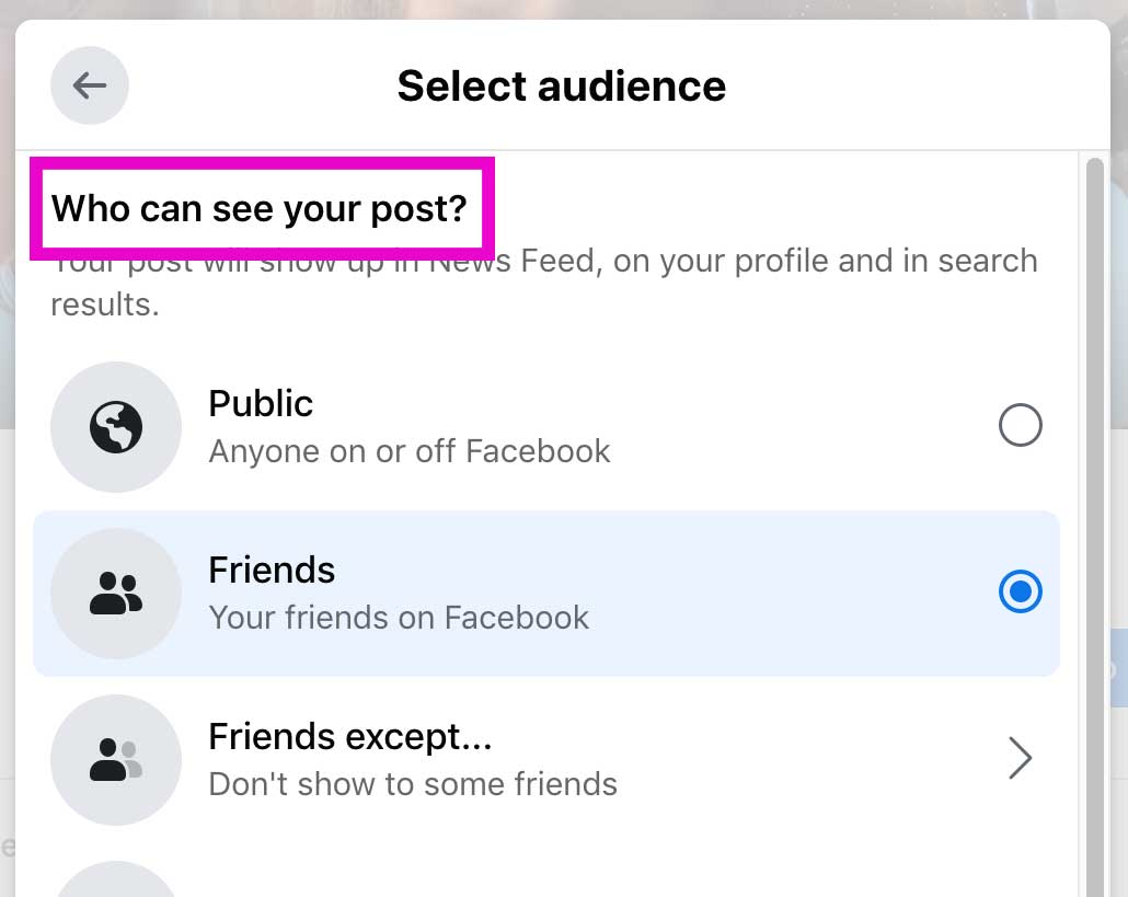 How facebook users can select an audience for each post they make.