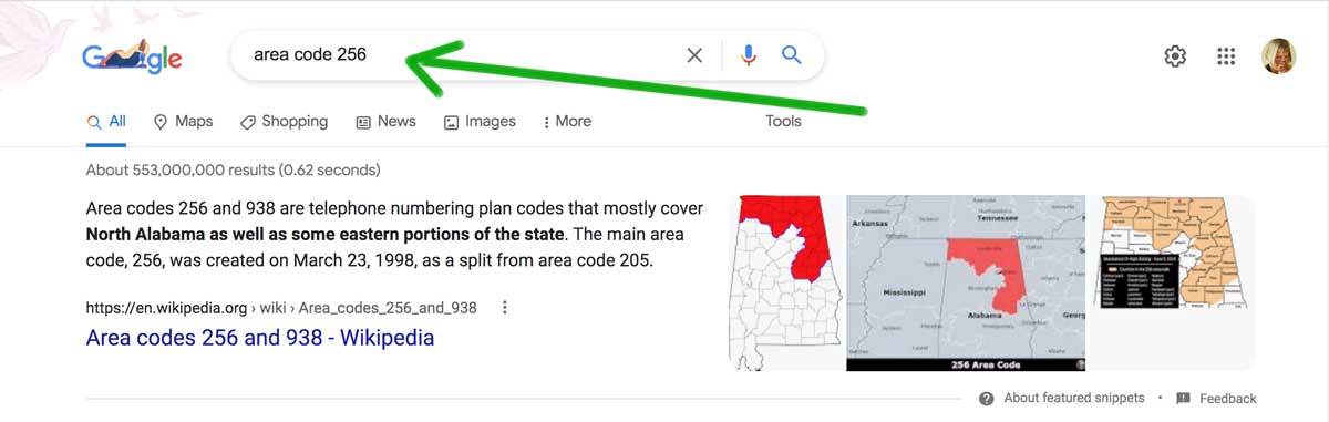 area code search results.