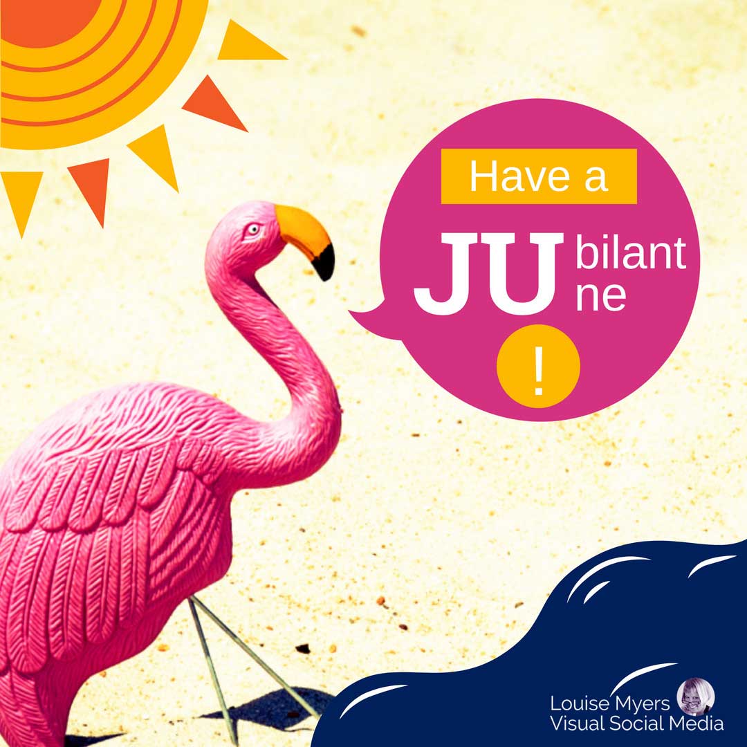 pink flamingo, sun and ocean graphic says have a jubilant june.